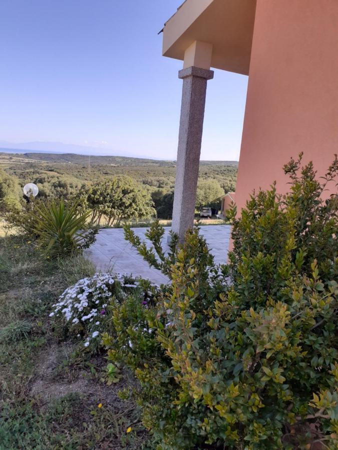 Agriturismo Gli Olivastri Appartamento Raggio Di Sole , Con Piscina E Vista Mare ,Climatizzatore,Wifi 阿列恩图 外观 照片