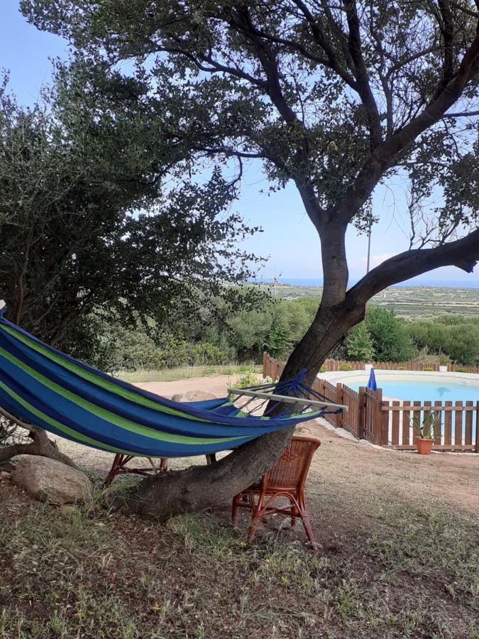 Agriturismo Gli Olivastri Appartamento Raggio Di Sole , Con Piscina E Vista Mare ,Climatizzatore,Wifi 阿列恩图 外观 照片