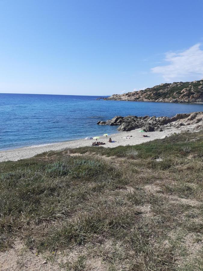 Agriturismo Gli Olivastri Appartamento Raggio Di Sole , Con Piscina E Vista Mare ,Climatizzatore,Wifi 阿列恩图 外观 照片